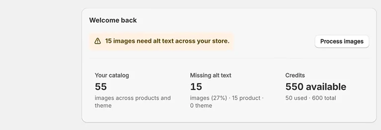 Example of descriptive alt text for product image showing specific attributes and context
