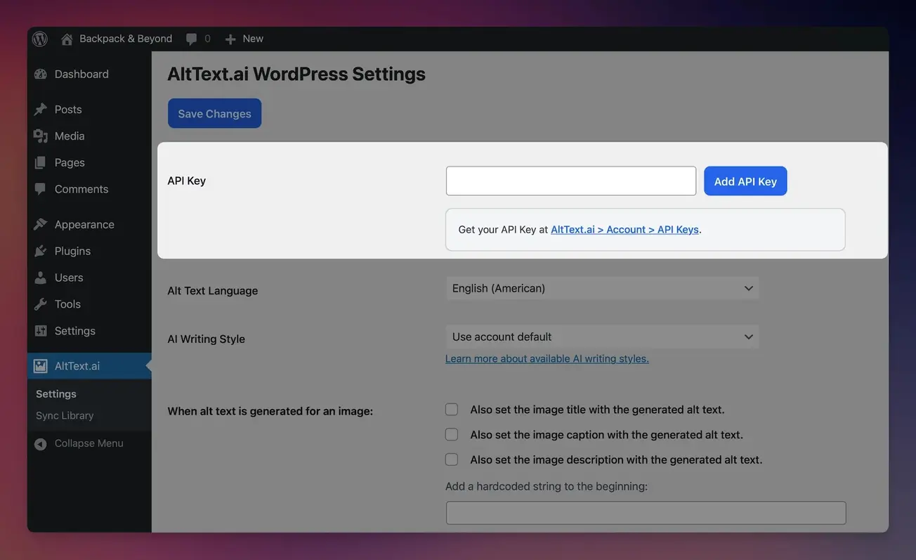 WordPress plugin settings page showing API key configuration field and connection status