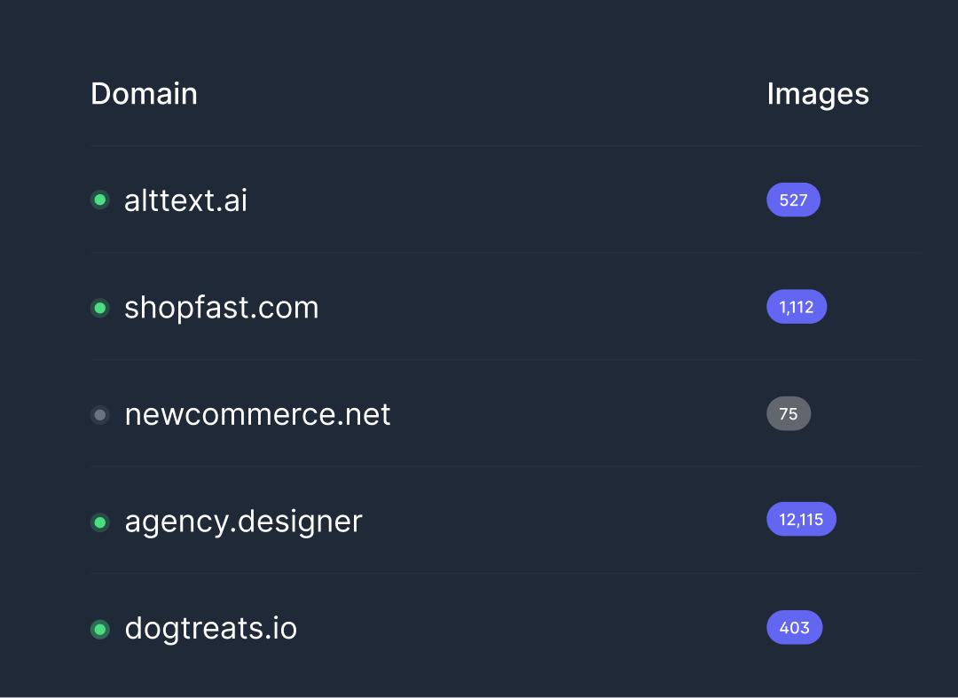 InstantAlt dashboard showcasing streamlined image count across multiple sites.